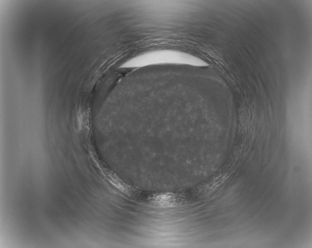 X0000051890325200507222022