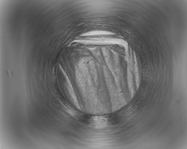 X0000051890327200507222022