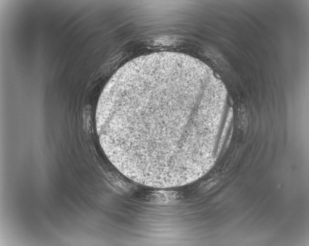 X0000051890328200507222022