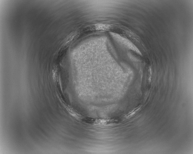 X0000051890329200507222022