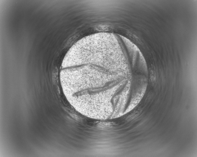 X0000051890332200507222022