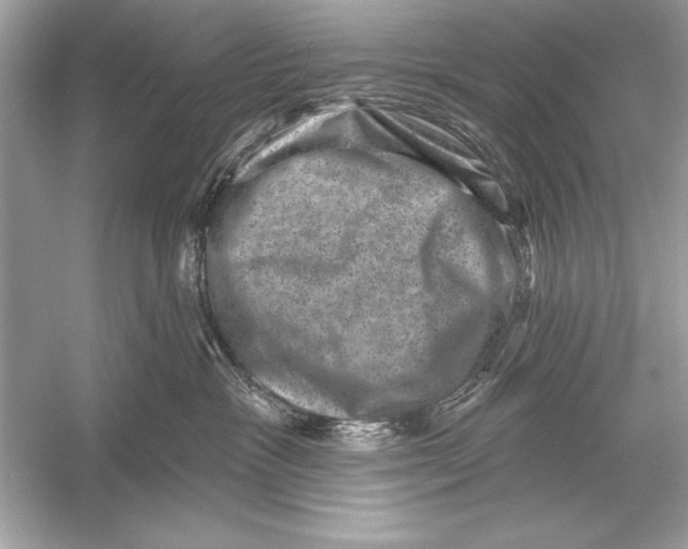 X0000051890333200507222022