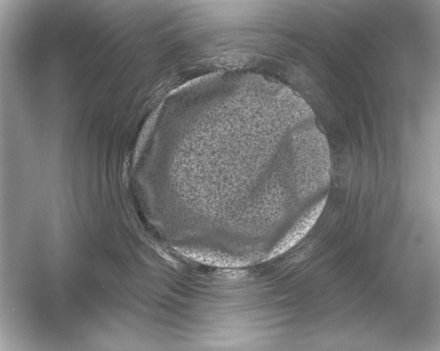 X0000051890334200507222022