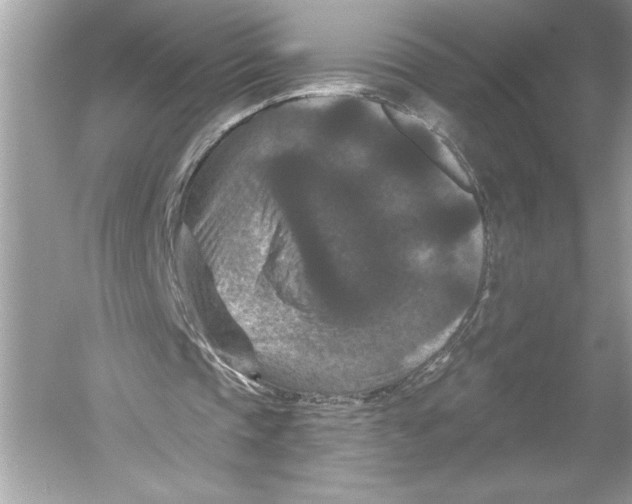 X0000051890337200507222021