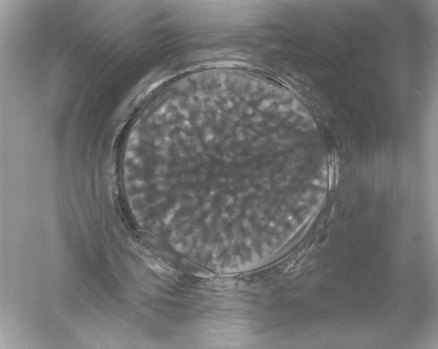 X0000051890339200507222021