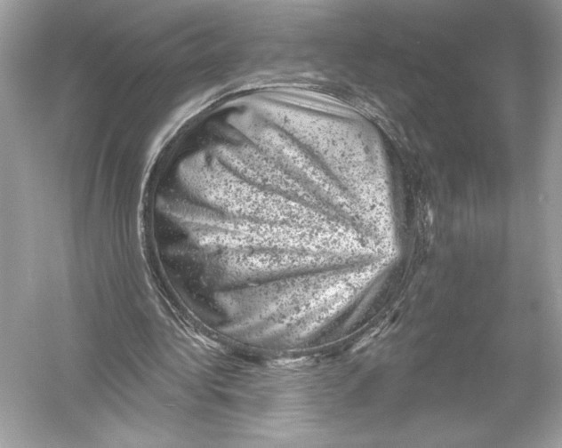 X0000051890340200507222021