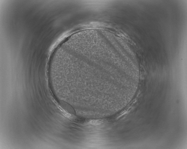 X0000051890341200507222021