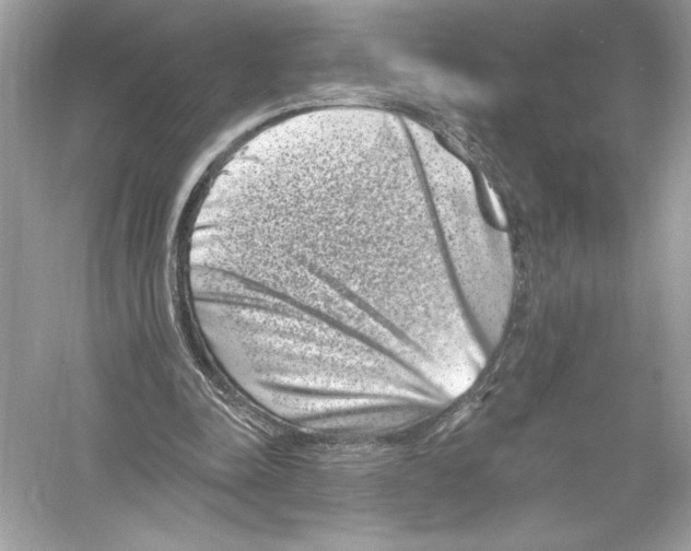 X0000051890342200507222021