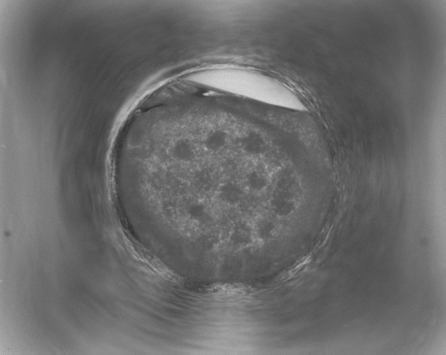 X0000051890343200507222021