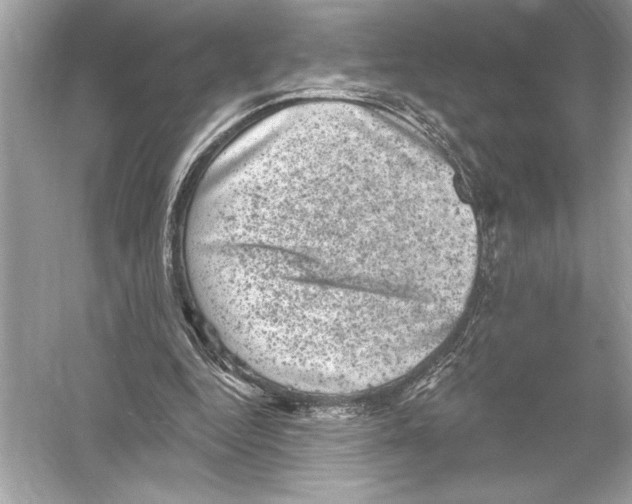 X0000051890344200507222021