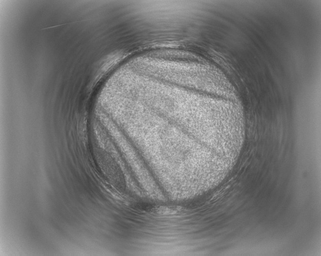 X0000051890346200507222022