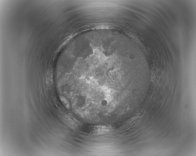 X0000051890347200507222022