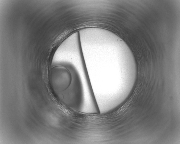 X0000051890349200507222022