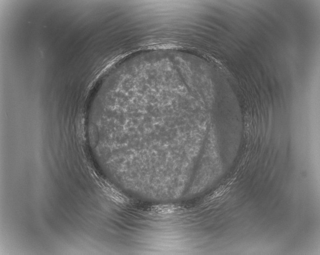 X0000051890351200507222022