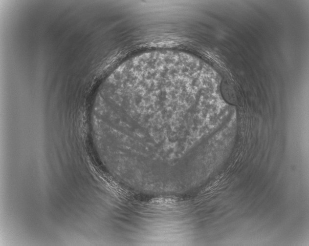 X0000051890354200507222022