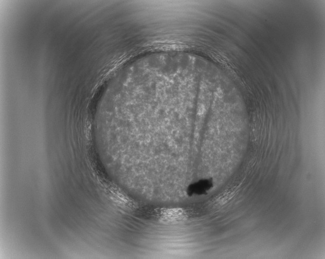 X0000051890355200507222022