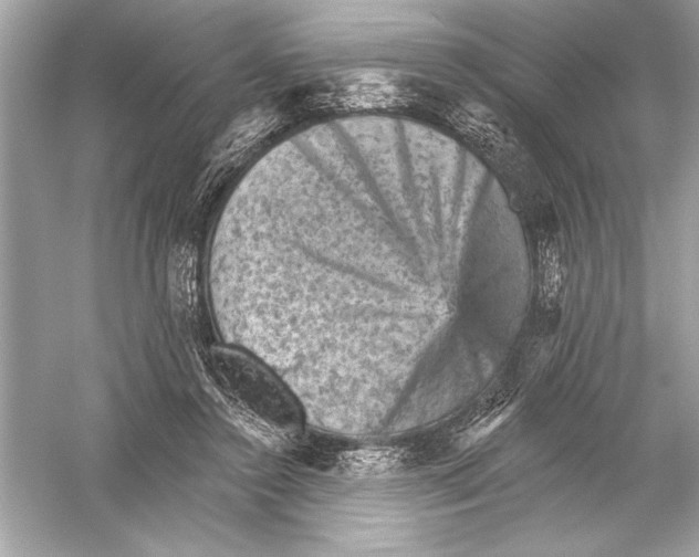 X0000051890356200507222022