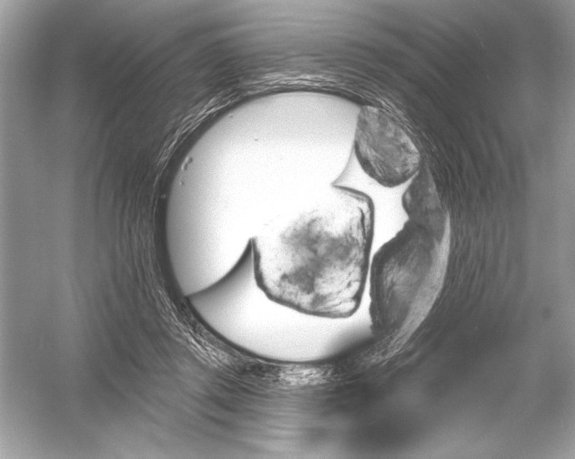 X0000051890357200507222022