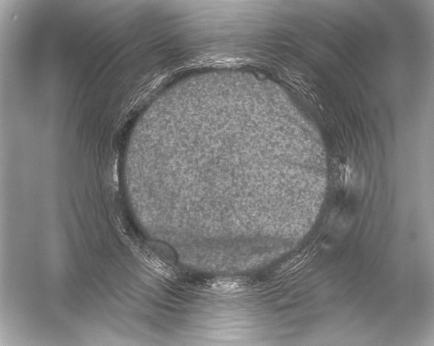 X0000051890358200507222022