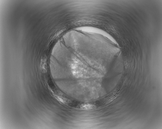 X0000051890360200507222022