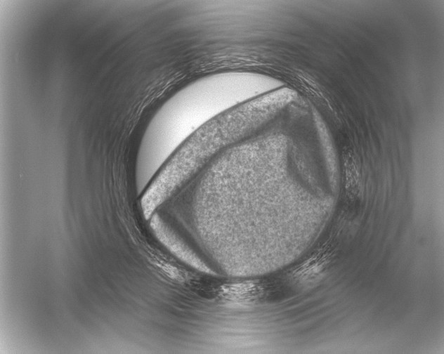 X0000051890362200507222022