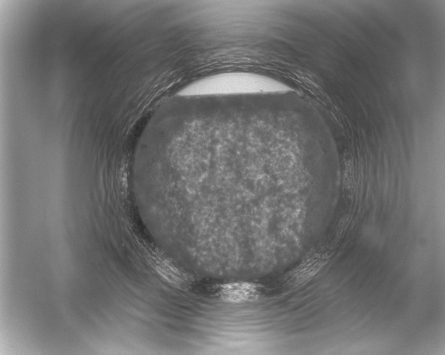 X0000051890363200507222022