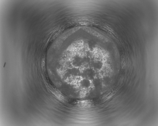 X0000051890365200507222022