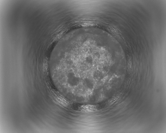 X0000051890367200507222022