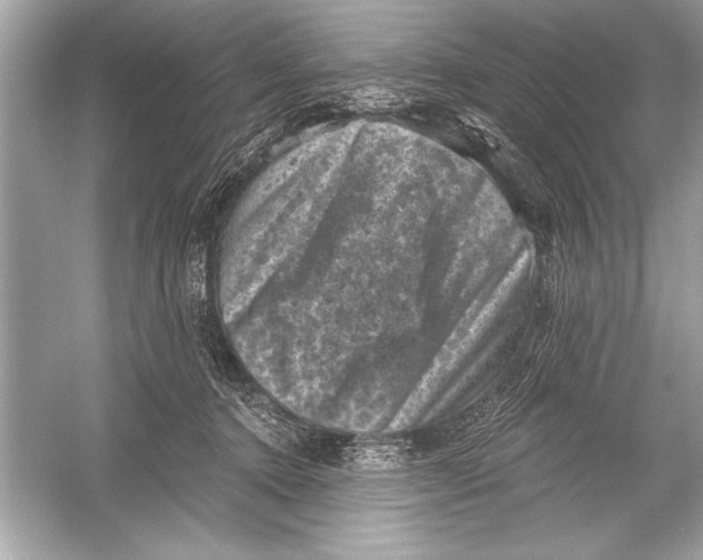 X0000051890368200507222022