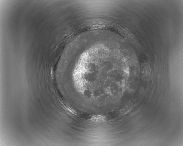 X0000051890369200507222022