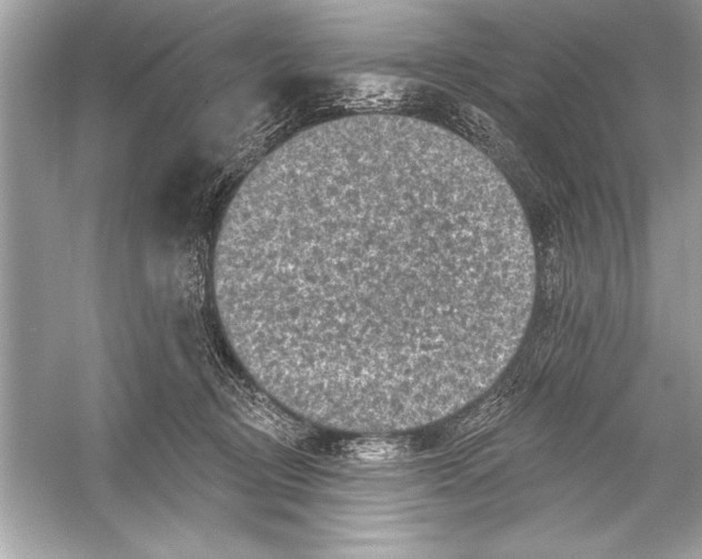 X0000051890370200507222022