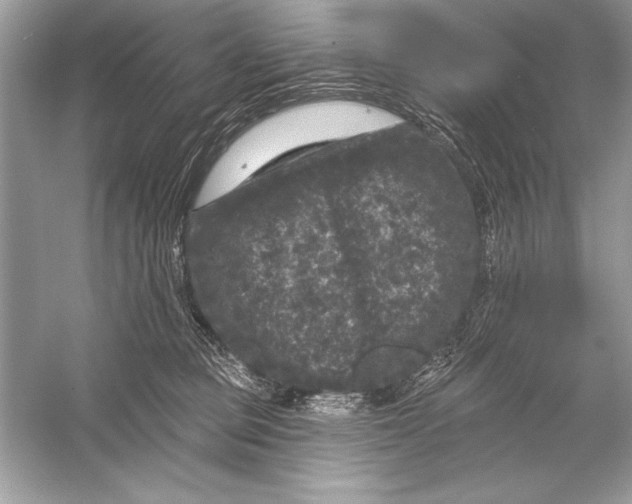 X0000051890373200507222022