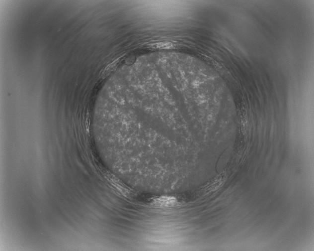 X0000051890374200507222022