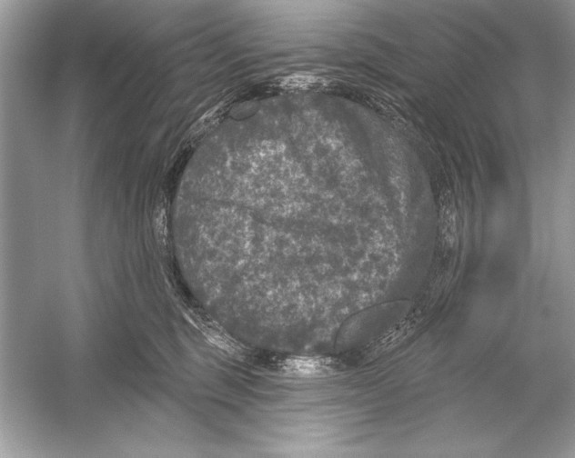 X0000051890375200507222022