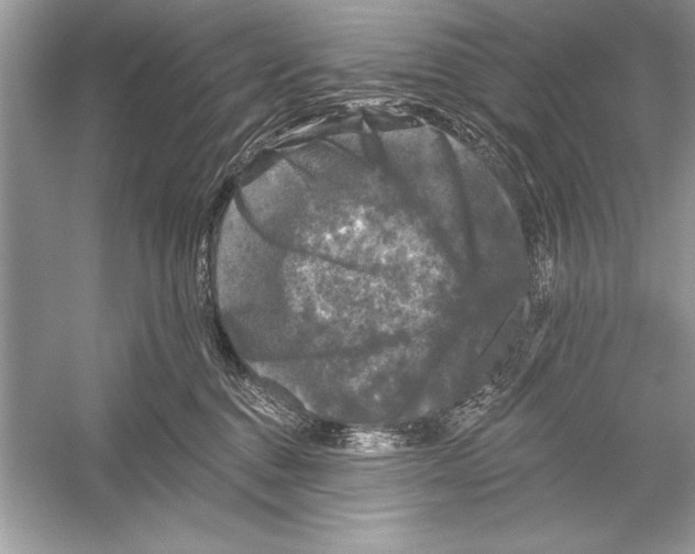 X0000051890376200507222022