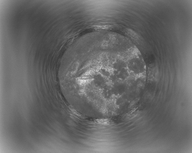 X0000051890377200507222022