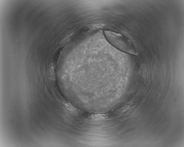 X0000051890378200507222022