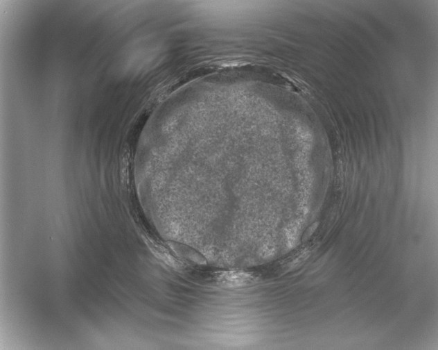 X0000051890379200507222022