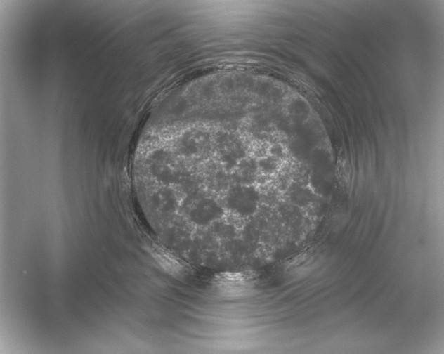 X0000051890381200507222022