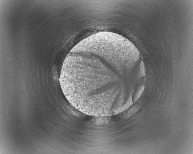 X0000051890384200507222022