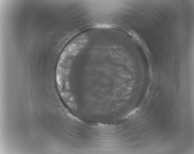 X0000051890385200507222021