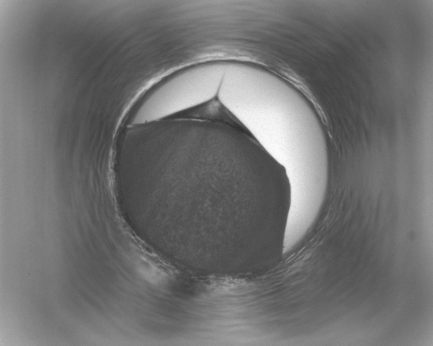 X0000051890387200507222021