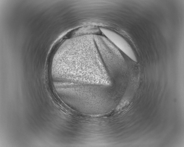 X0000051890388200507222021