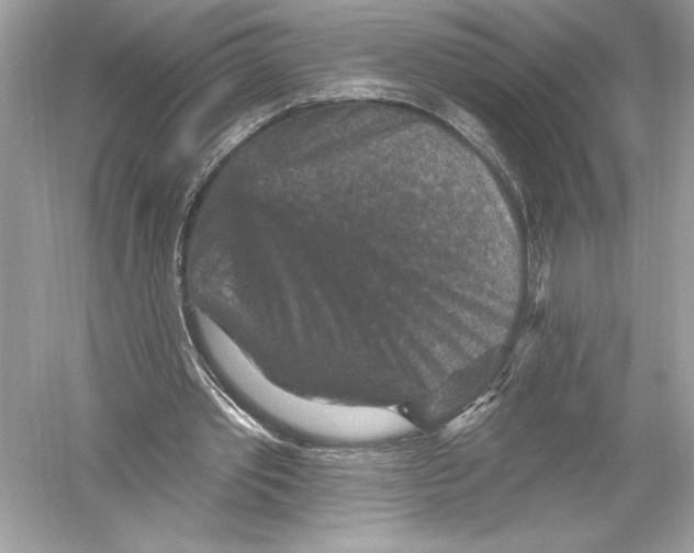 X0000051890389200507222021