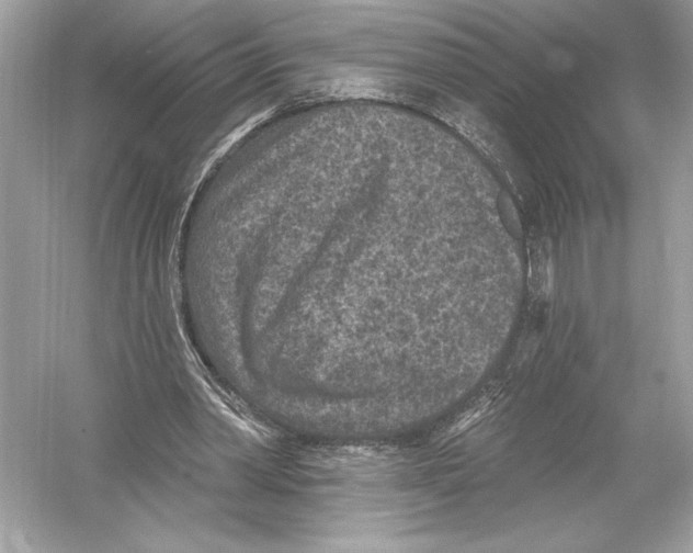 X0000051890390200507222021