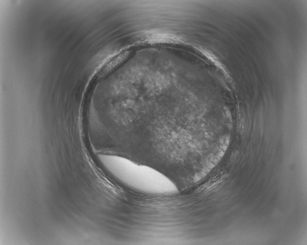 X0000051890391200507222021