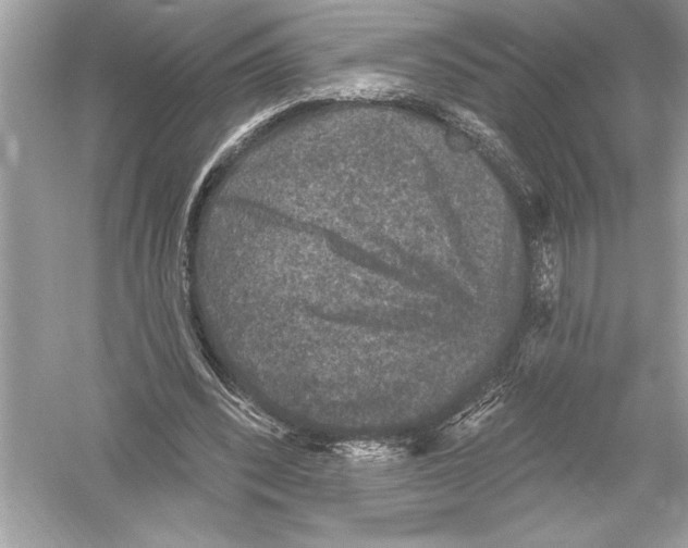 X0000051890392200507222021