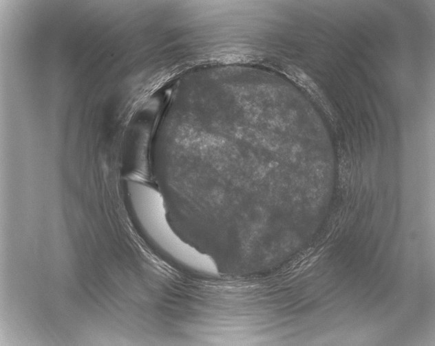 X0000051890393200507222021