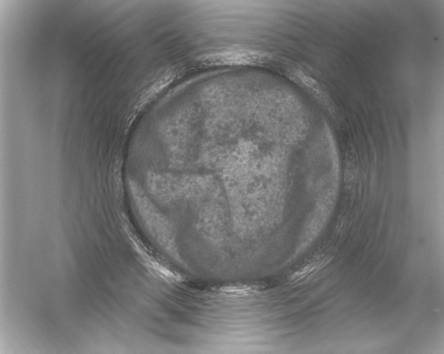 X0000051890394200507222021