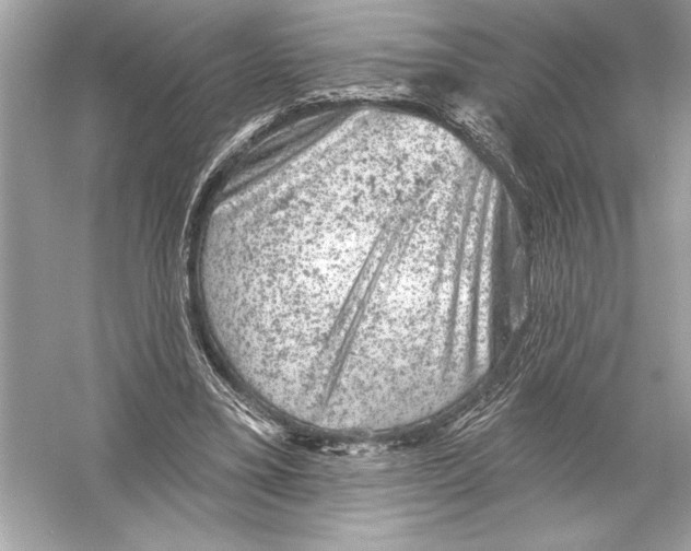 X0000051890395200507222021